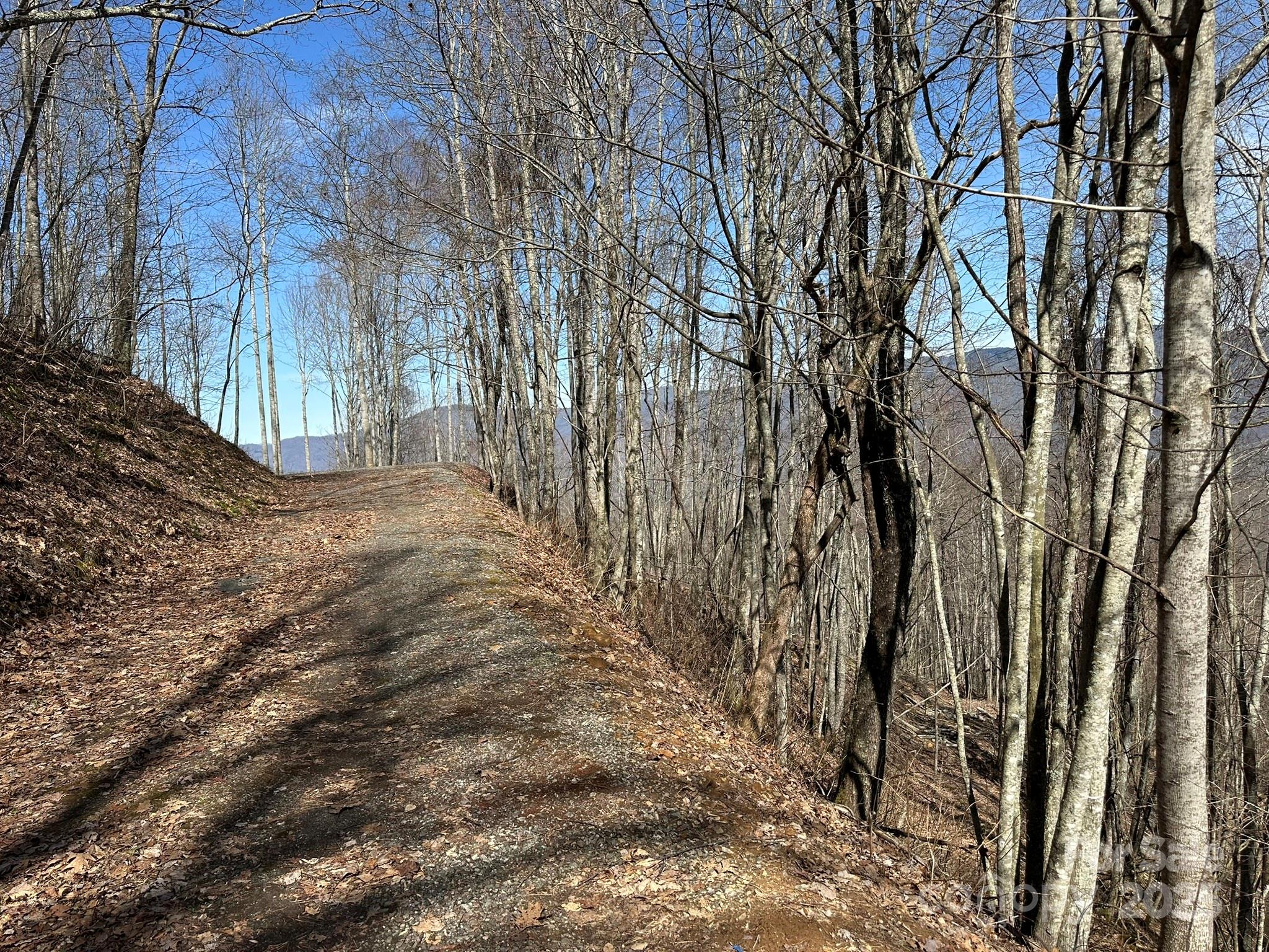 142 Old Growth Way Sylva NC 28779
