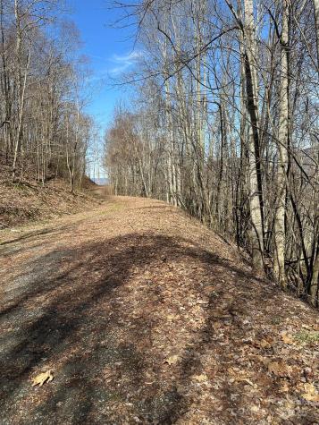 142 Old Growth Way Sylva NC 28779