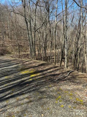 142 Old Growth Way Sylva NC 28779