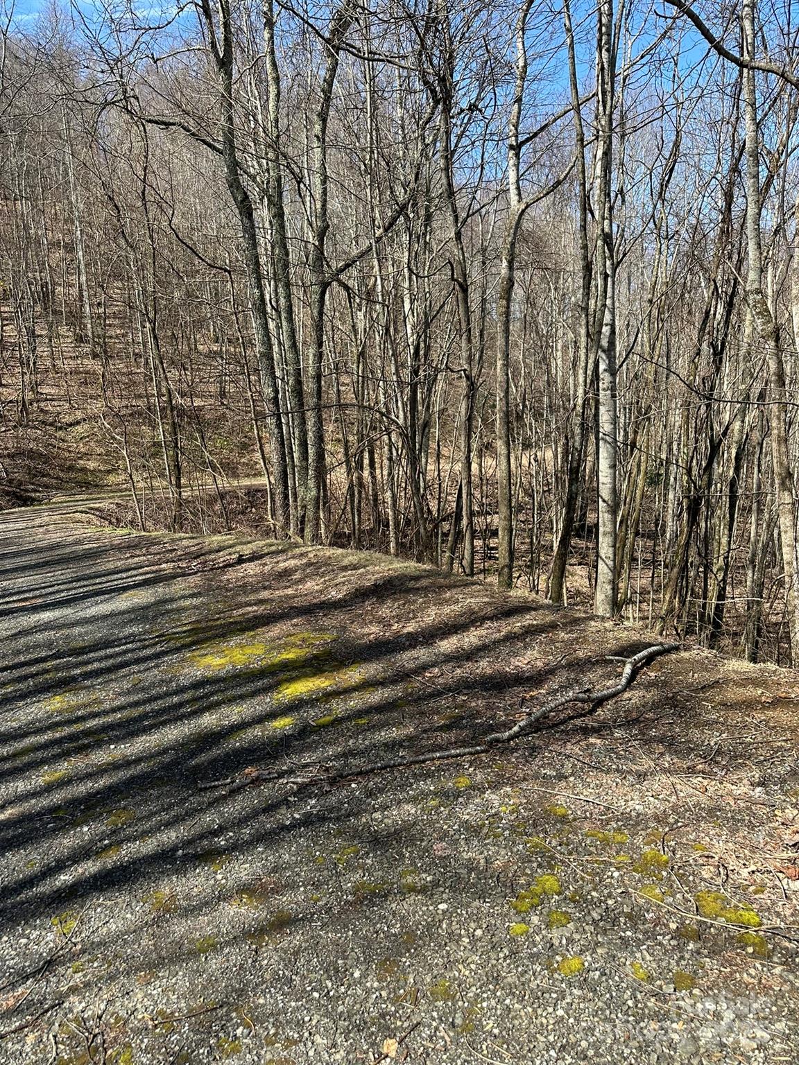 142 Old Growth Way Sylva NC 28779