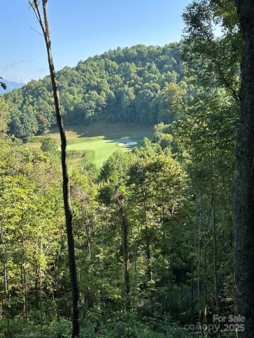 142 Old Growth Way Sylva NC 28779