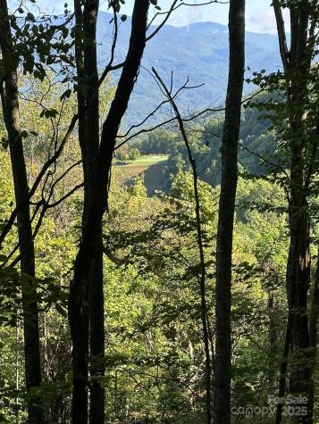 142 Old Growth Way Sylva NC 28779