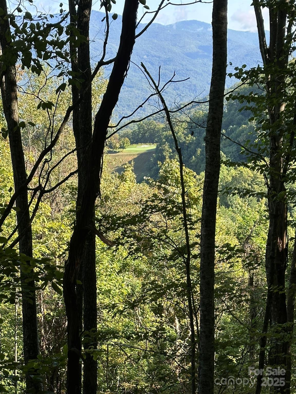 142 Old Growth Way Sylva NC 28779