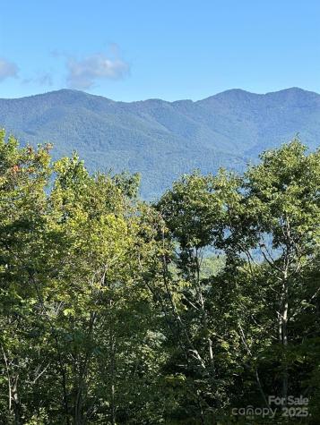 142 Old Growth Way Sylva NC 28779