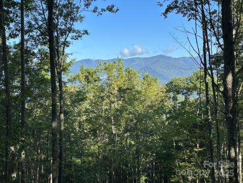 142 Old Growth Way Sylva NC 28779