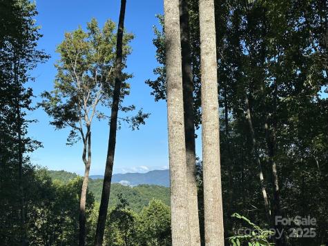 142 Old Growth Way Sylva NC 28779