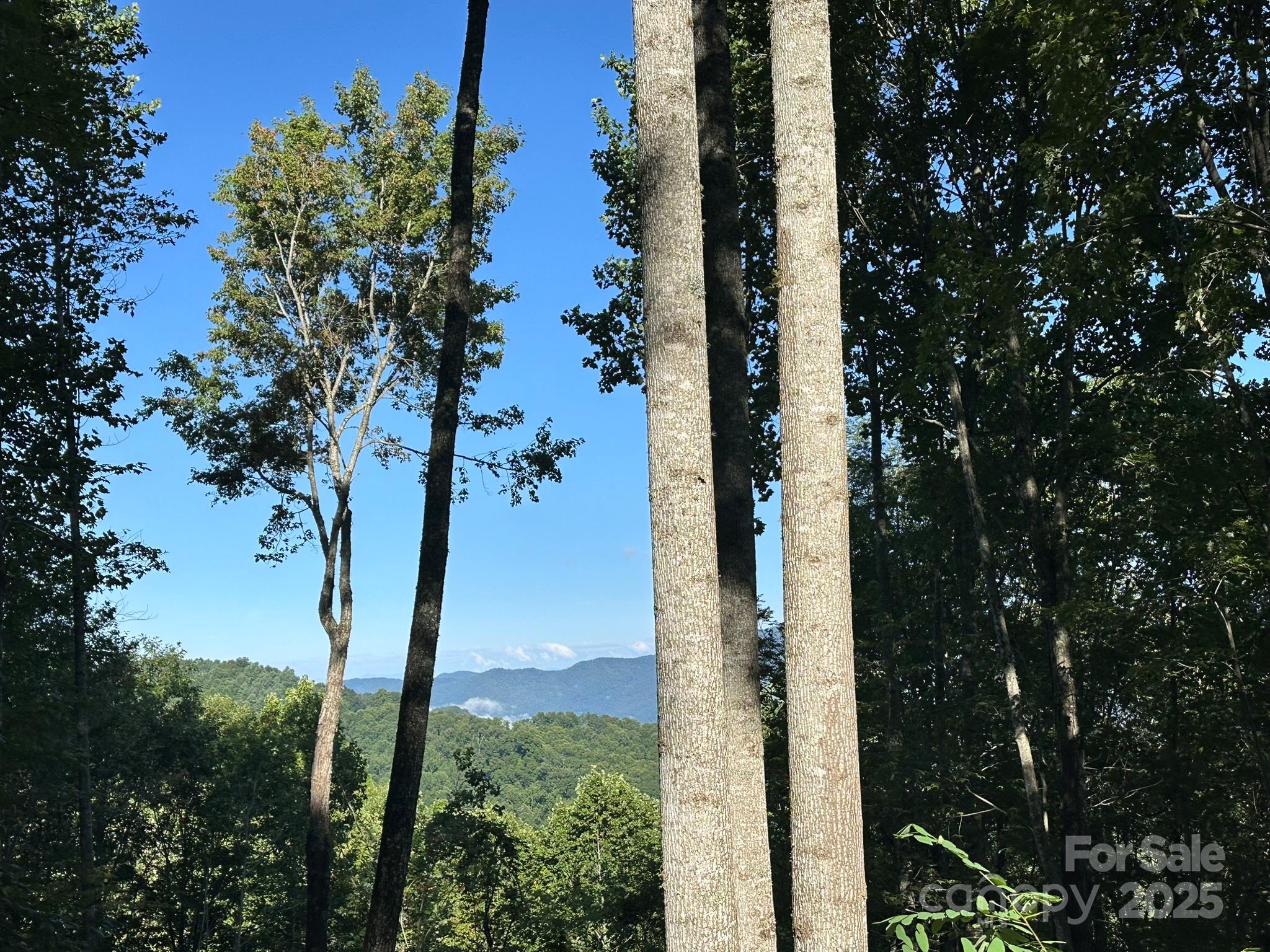142 Old Growth Way Sylva NC 28779
