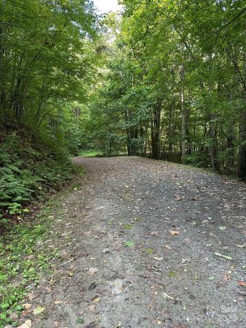 142 Old Growth Way Sylva NC 28779