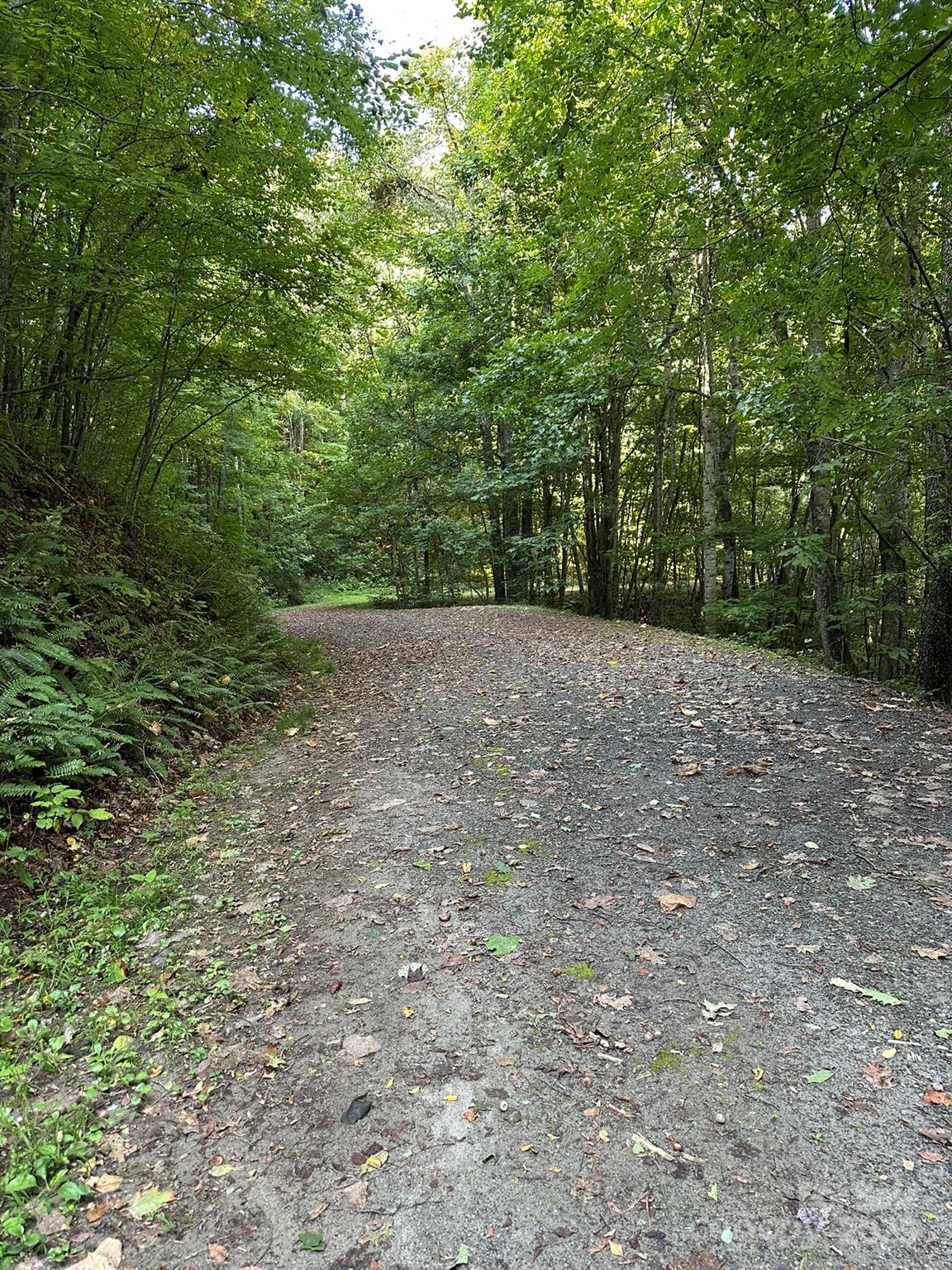 142 Old Growth Way Sylva NC 28779