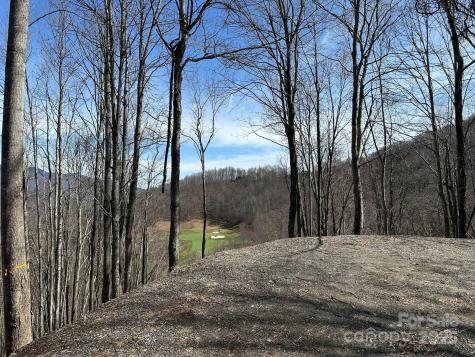 142 Old Growth Way Sylva NC 28779