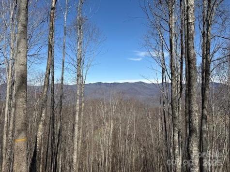 142 Old Growth Way Sylva NC 28779