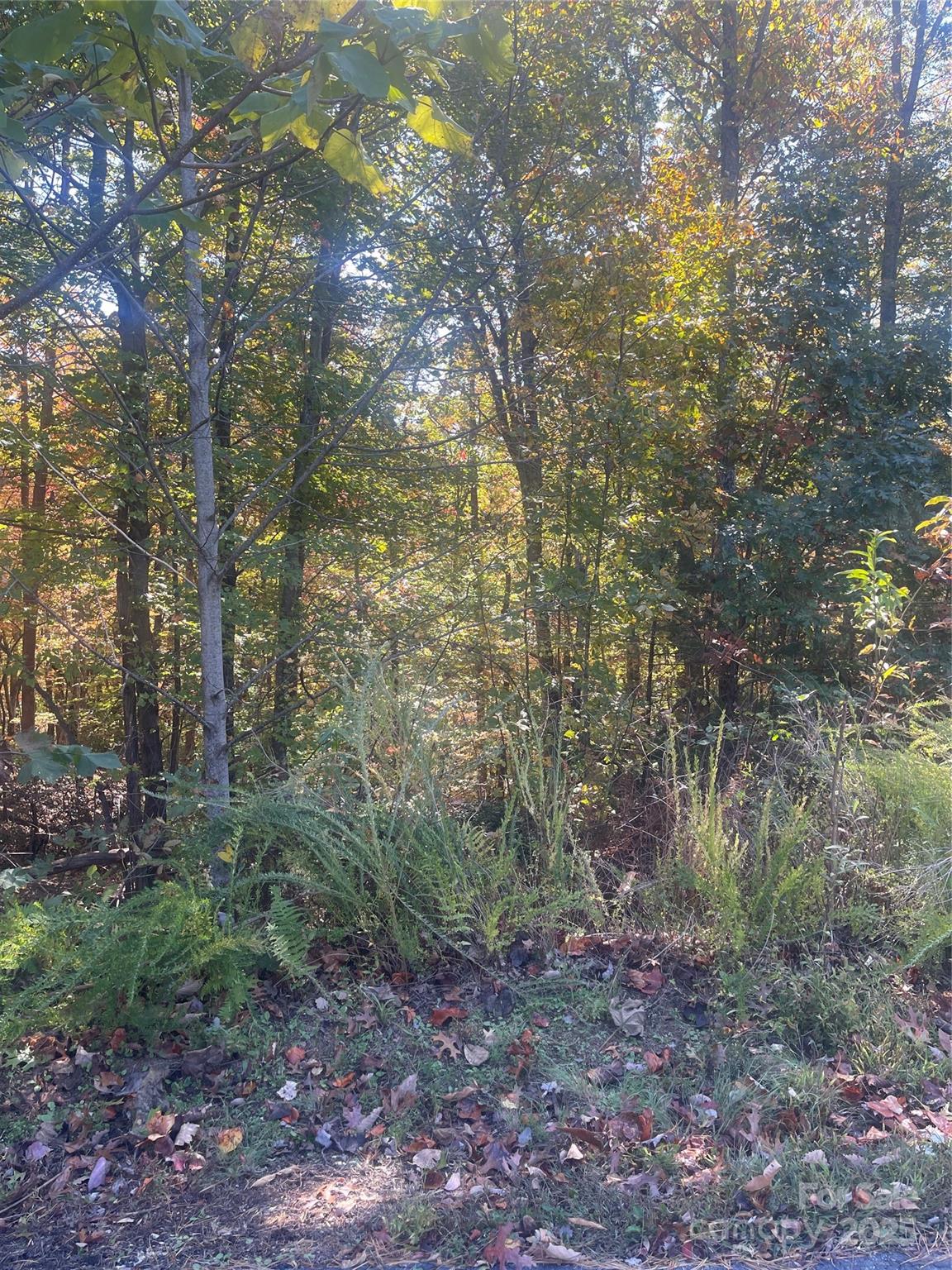 Lot 46 Bald Eagle Lane Marion NC 28752