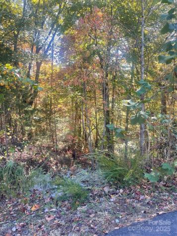 Lot 46 Bald Eagle Lane Marion NC 28752