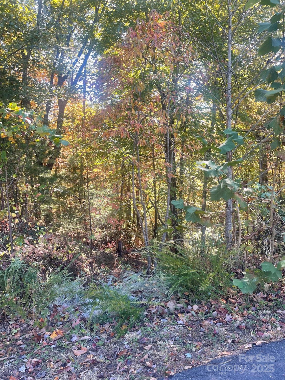 Lot 46 Bald Eagle Lane Marion NC 28752