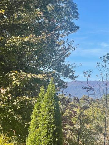 Lot 46 Bald Eagle Lane Marion NC 28752