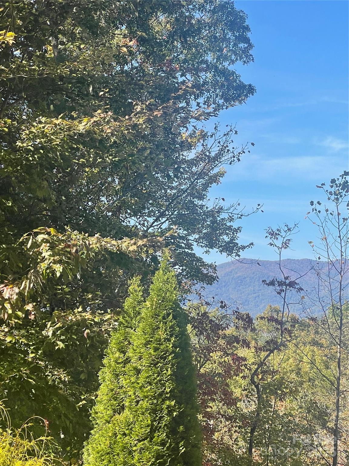 Lot 46 Bald Eagle Lane Marion NC 28752