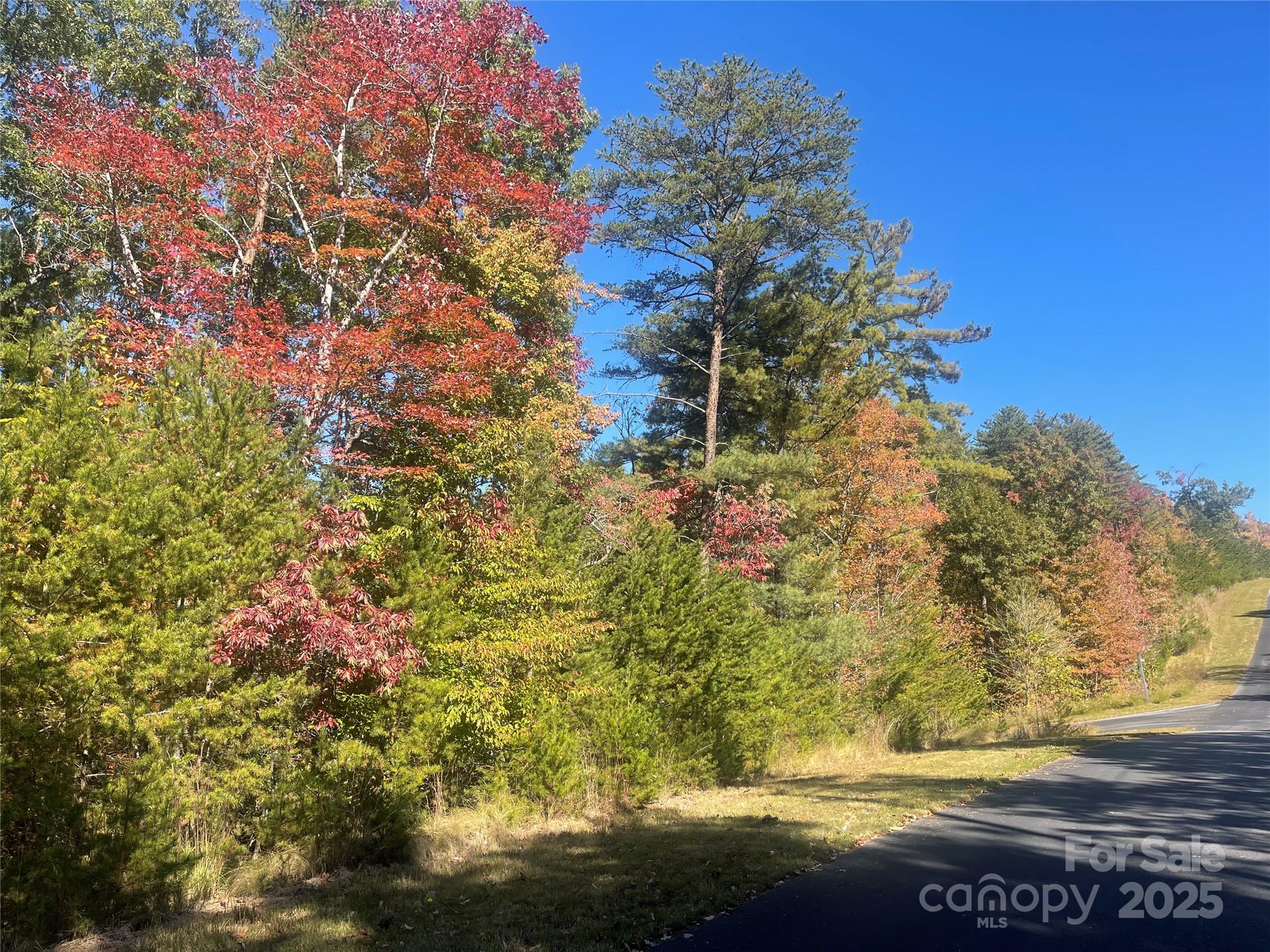 Lot 46 Bald Eagle Lane Marion NC 28752