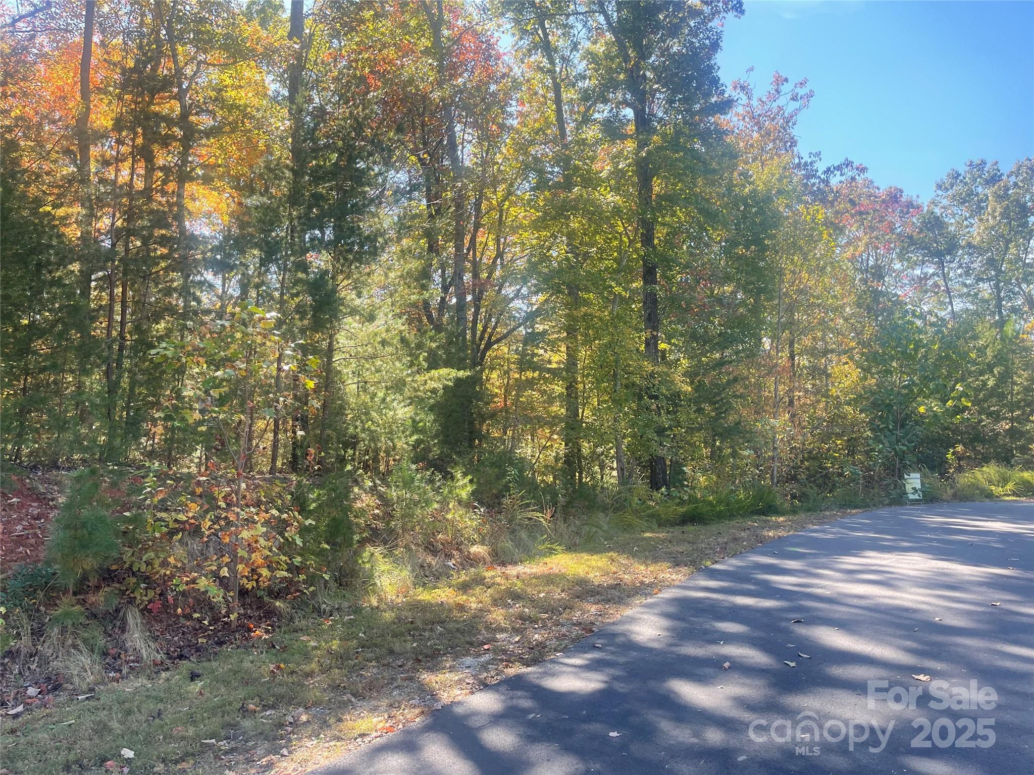 Lot 46 Bald Eagle Lane Marion NC 28752