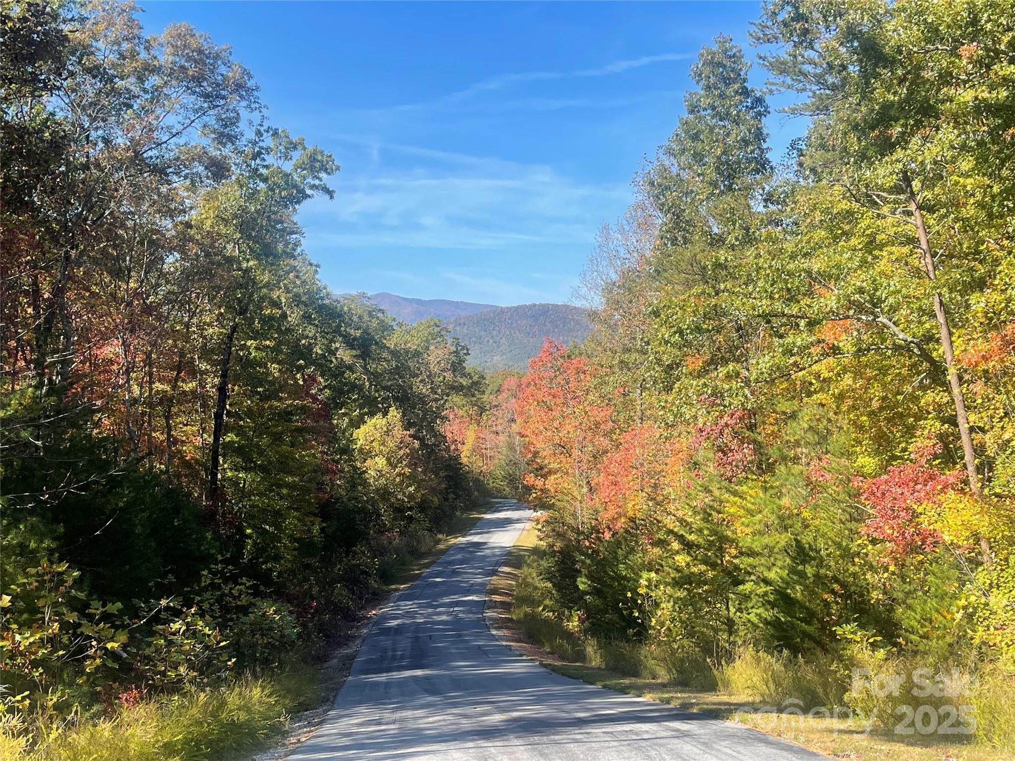 Lot 46 Bald Eagle Lane Marion NC 28752