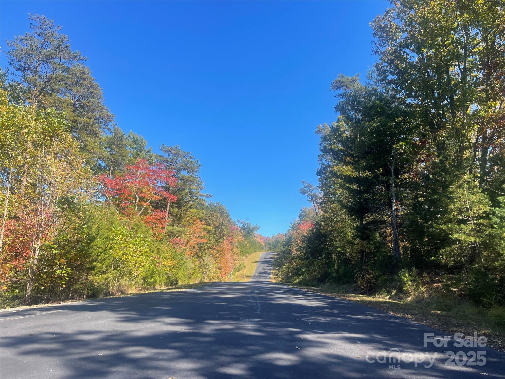 Lot 46 Bald Eagle Lane Marion NC 28752