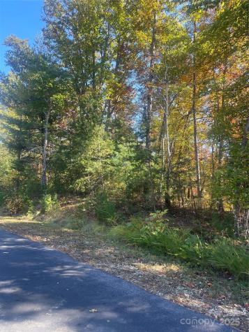Lot 46 Bald Eagle Lane Marion NC 28752