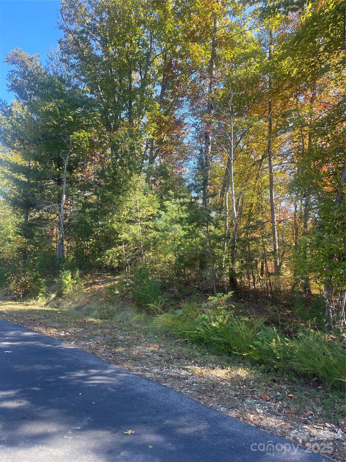 Lot 46 Bald Eagle Lane Marion NC 28752
