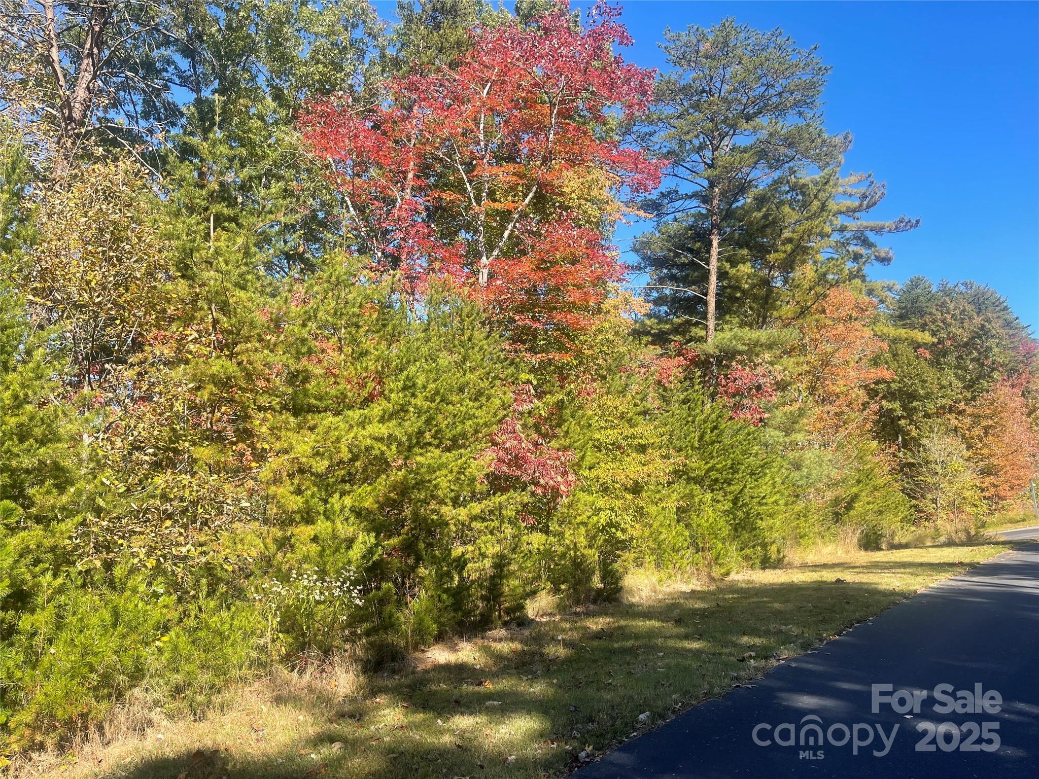 Lot 46 Bald Eagle Lane Marion NC 28752