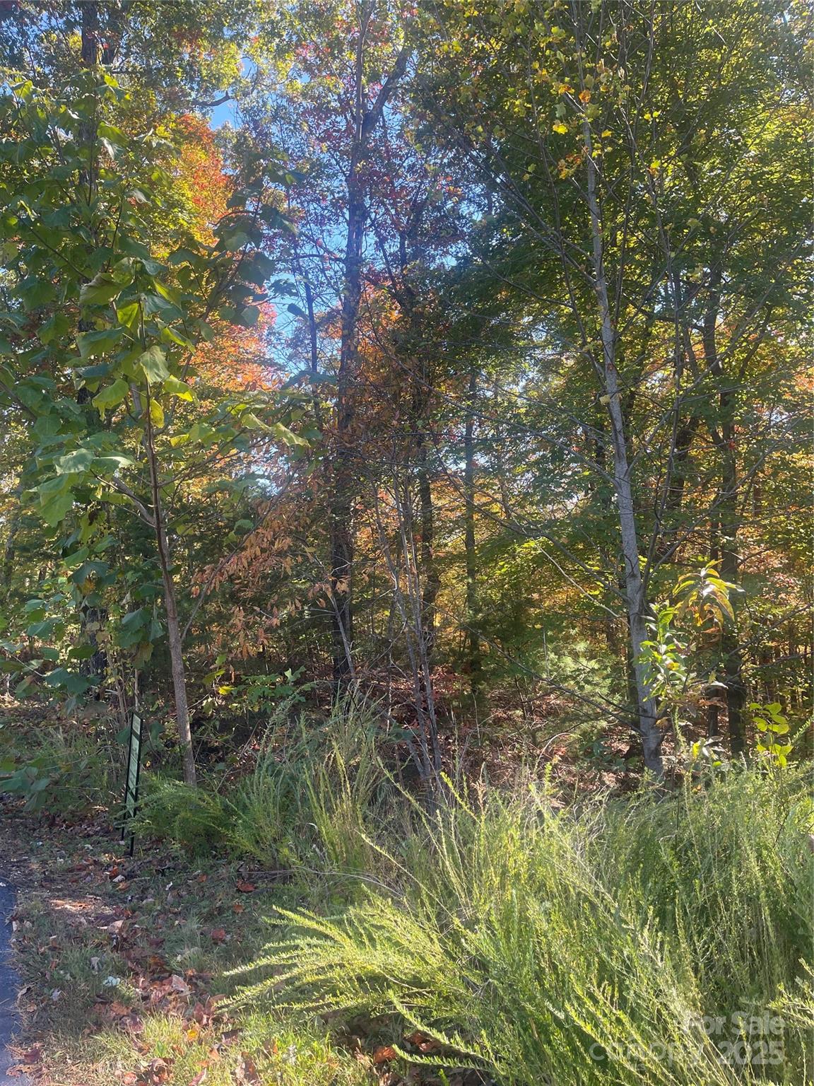Lot 46 Bald Eagle Lane Marion NC 28752
