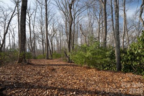 29 Open Ridge Trail Pisgah Forest NC 28768