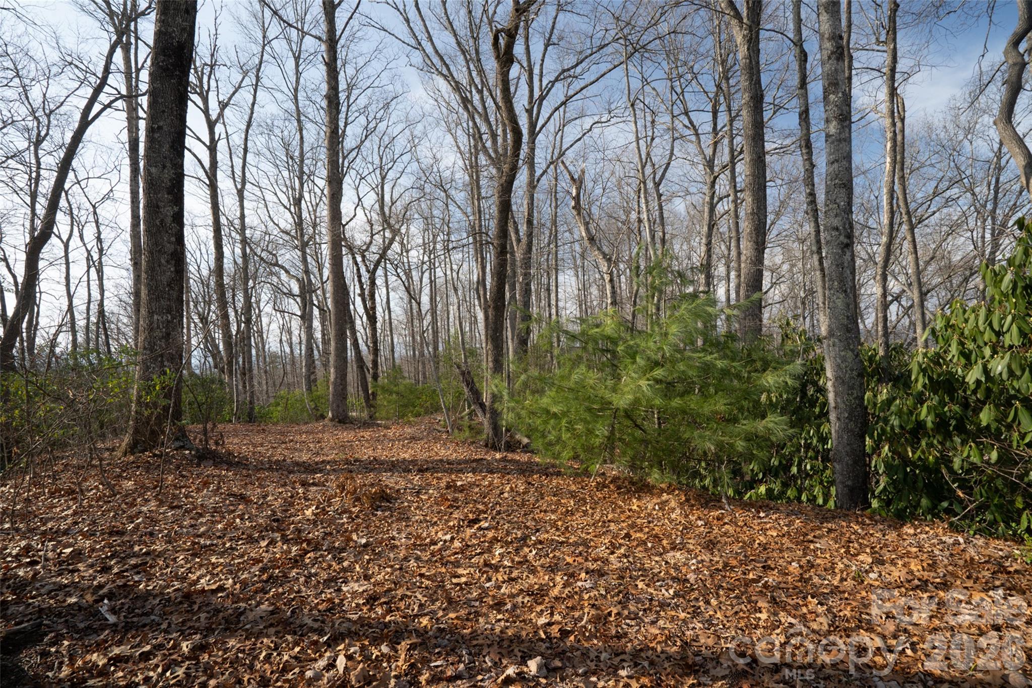 29 Open Ridge Trail Pisgah Forest NC 28768