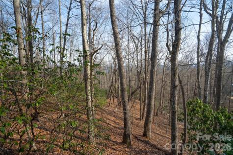 29 Open Ridge Trail Pisgah Forest NC 28768