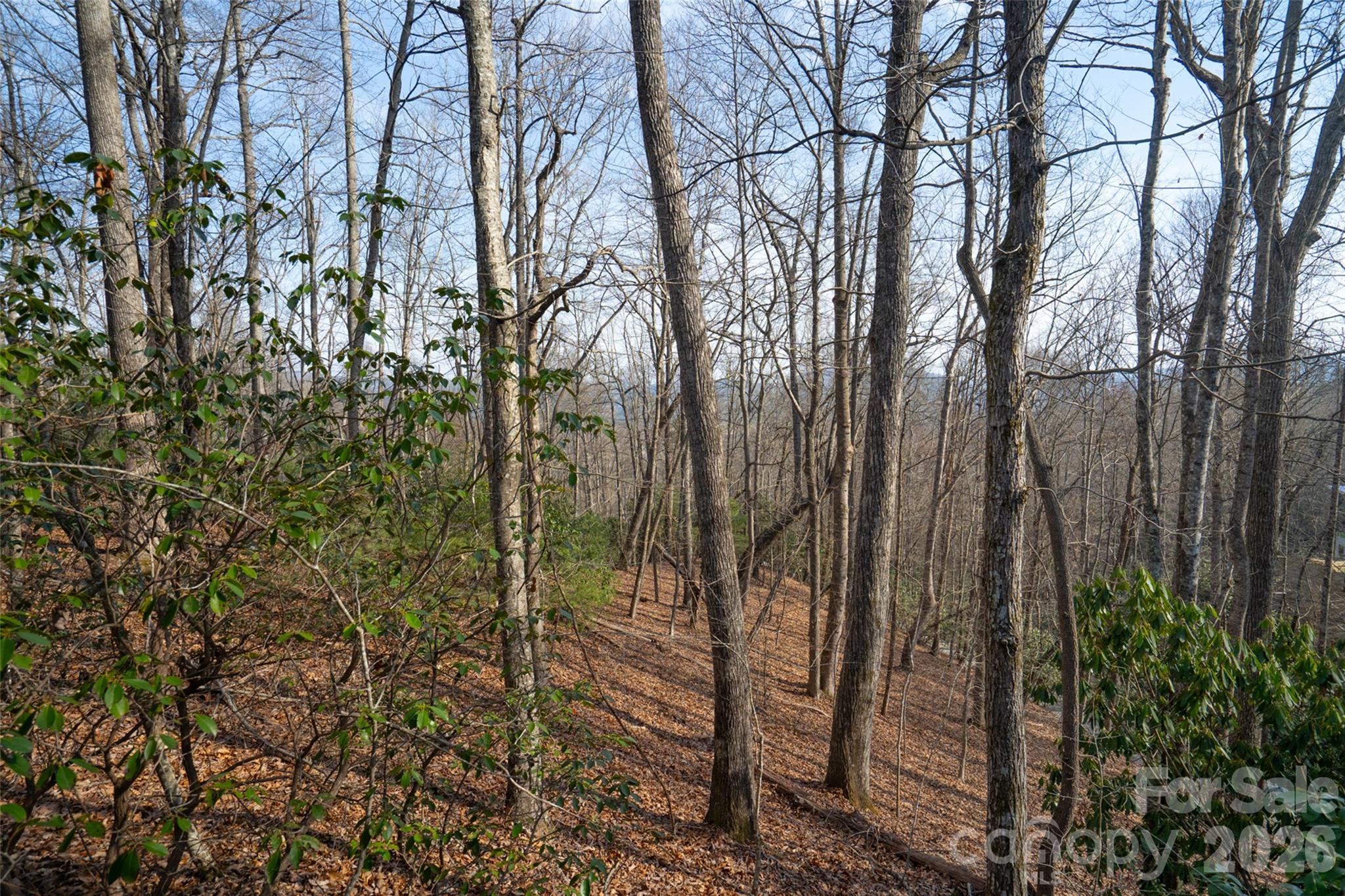 29 Open Ridge Trail Pisgah Forest NC 28768