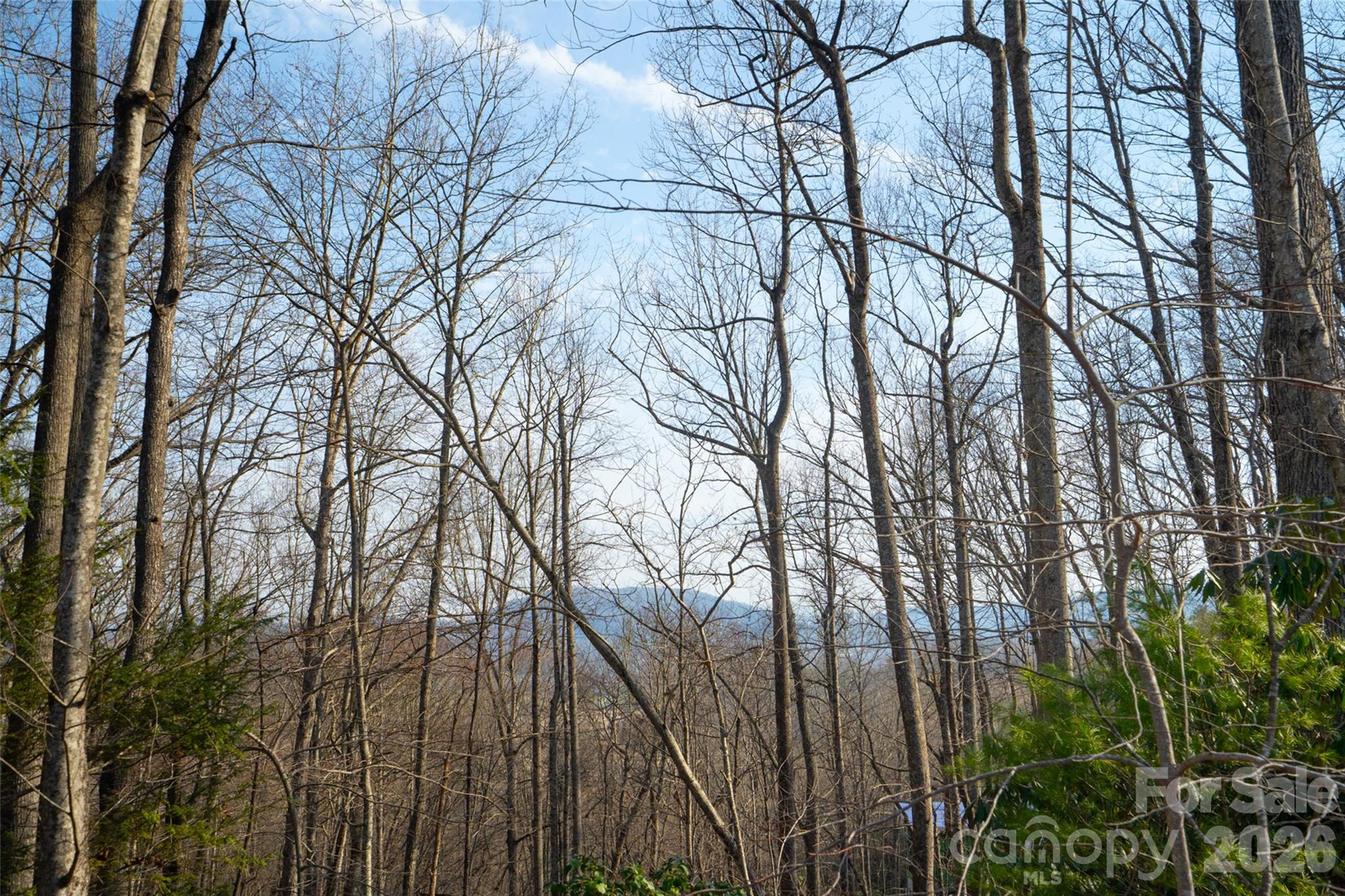 29 Open Ridge Trail Pisgah Forest NC 28768