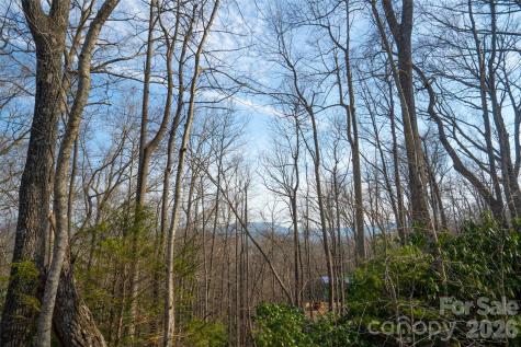 29 Open Ridge Trail Pisgah Forest NC 28768