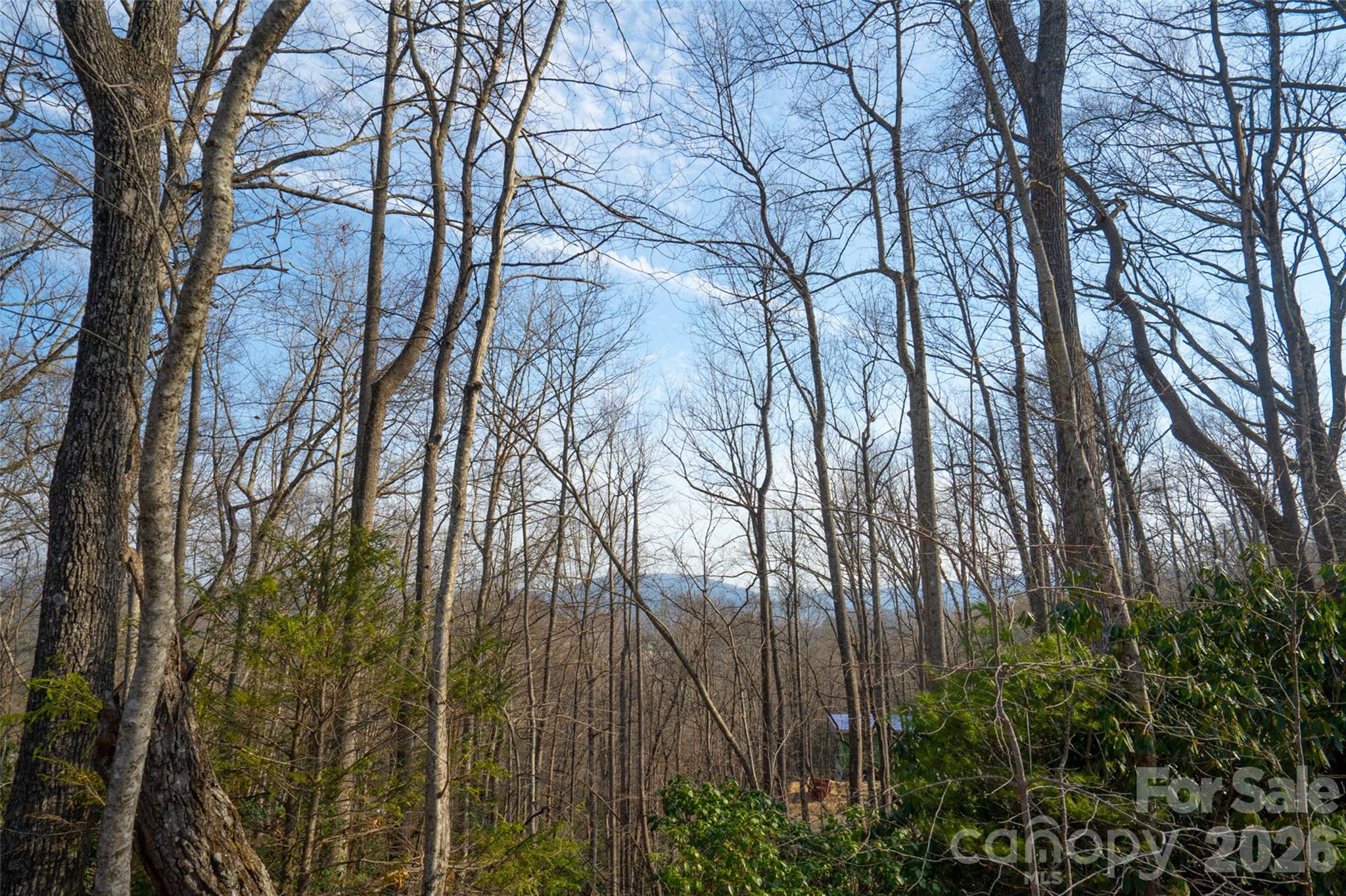 29 Open Ridge Trail Pisgah Forest NC 28768