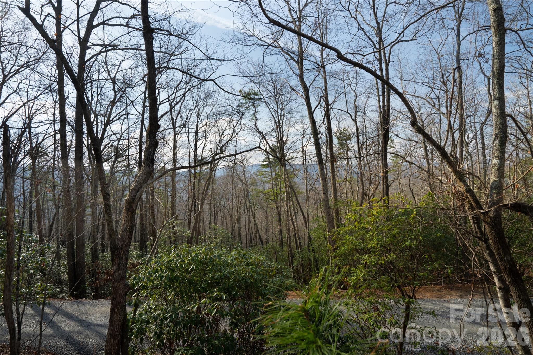 29 Open Ridge Trail Pisgah Forest NC 28768