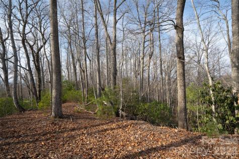 29 Open Ridge Trail Pisgah Forest NC 28768