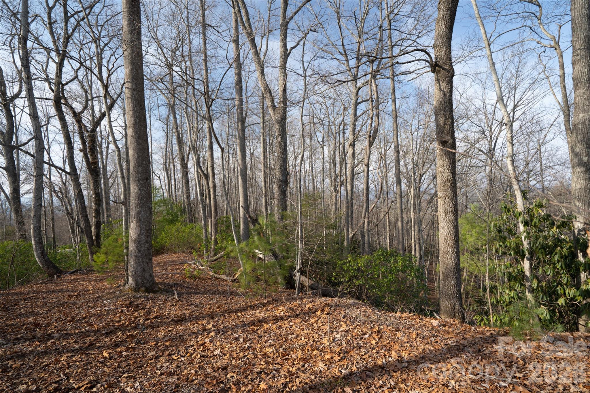 29 Open Ridge Trail Pisgah Forest NC 28768