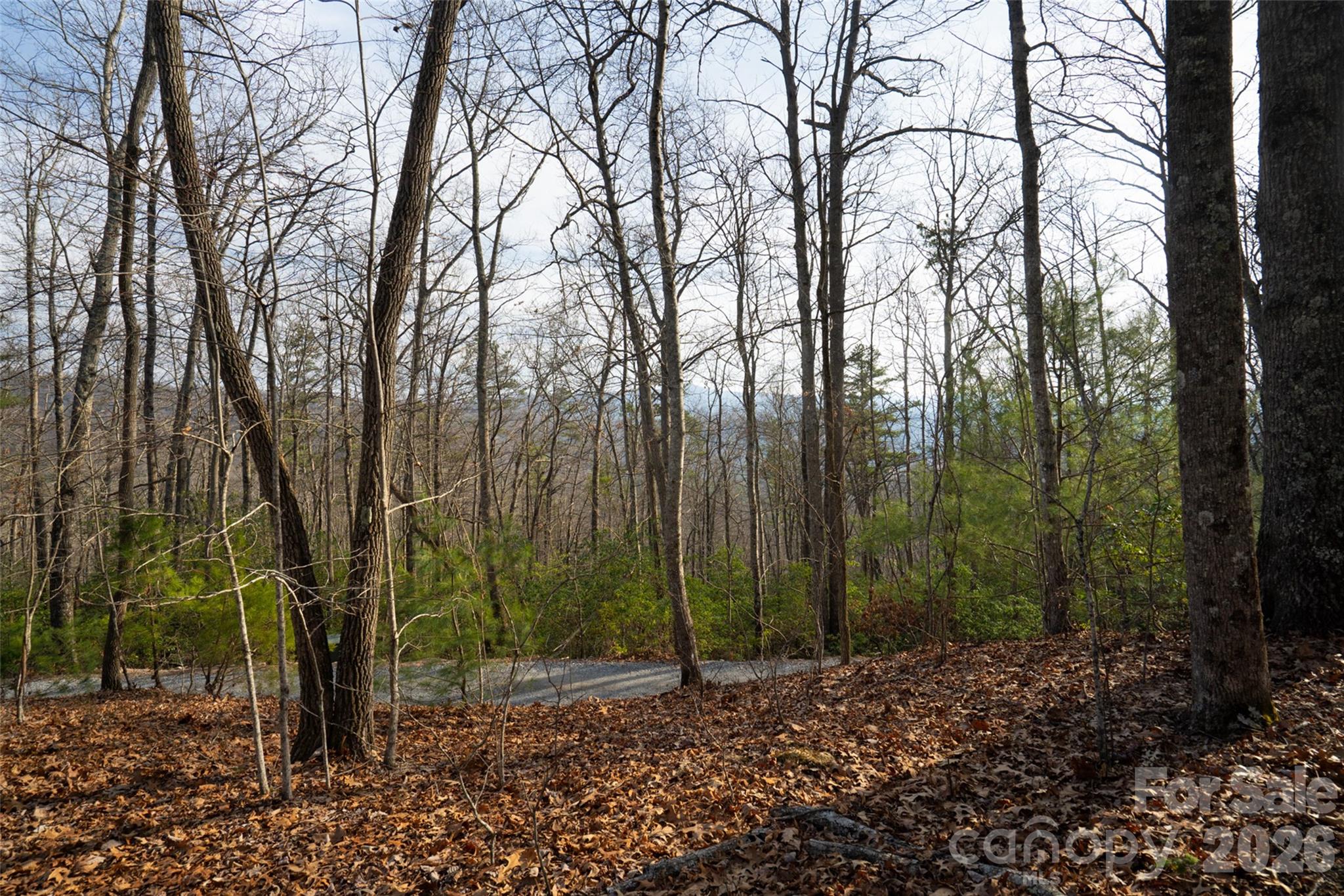 29 Open Ridge Trail Pisgah Forest NC 28768