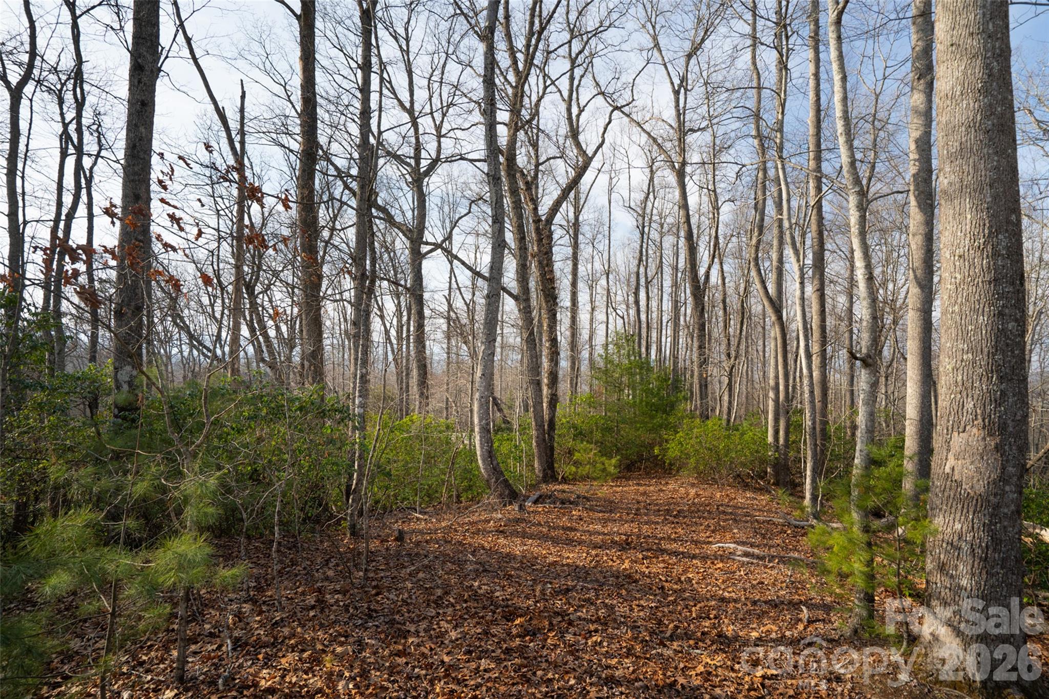 29 Open Ridge Trail Pisgah Forest NC 28768