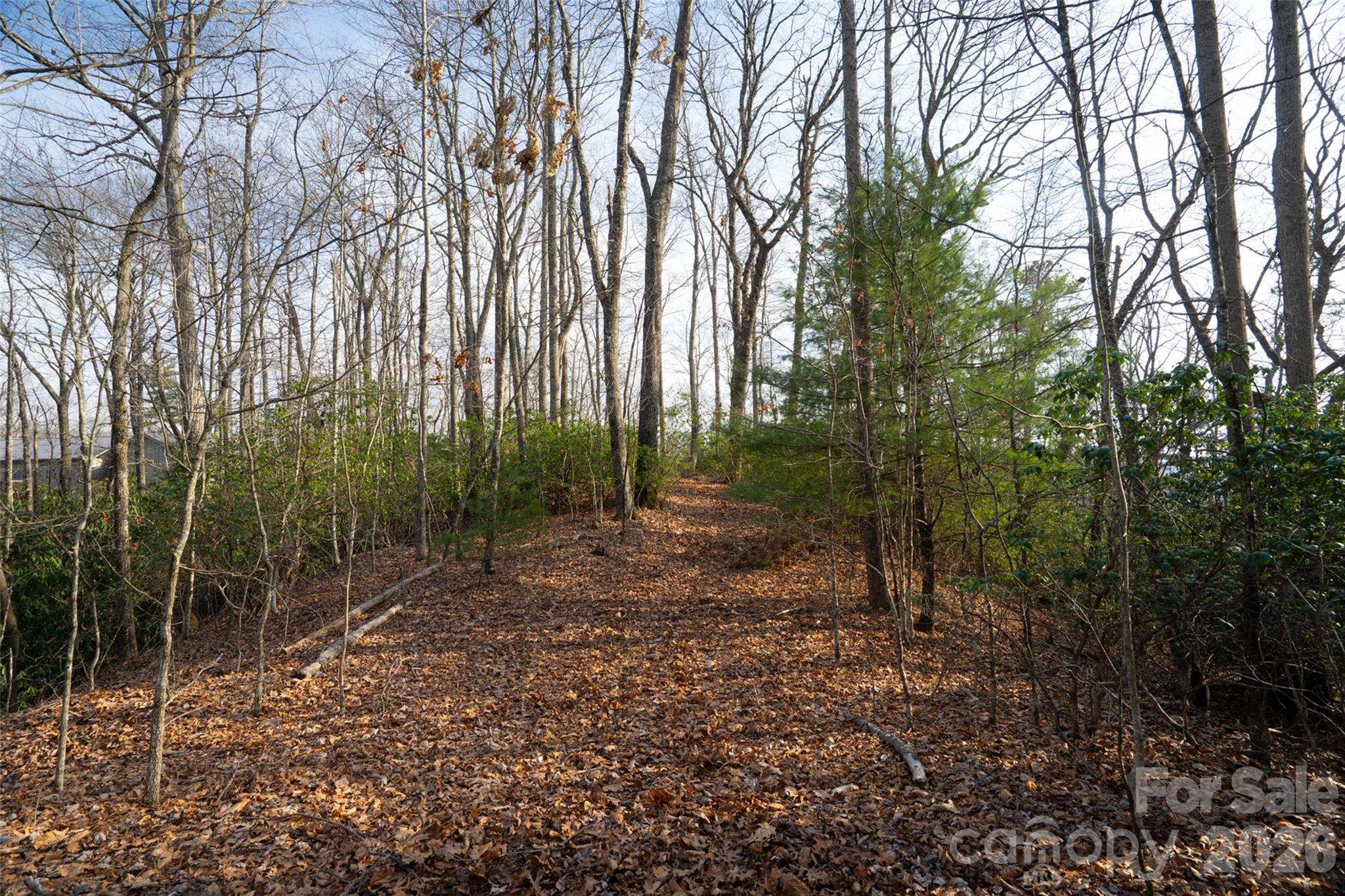 29 Open Ridge Trail Pisgah Forest NC 28768