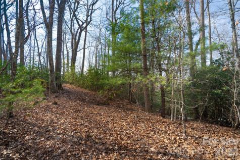 29 Open Ridge Trail Pisgah Forest NC 28768