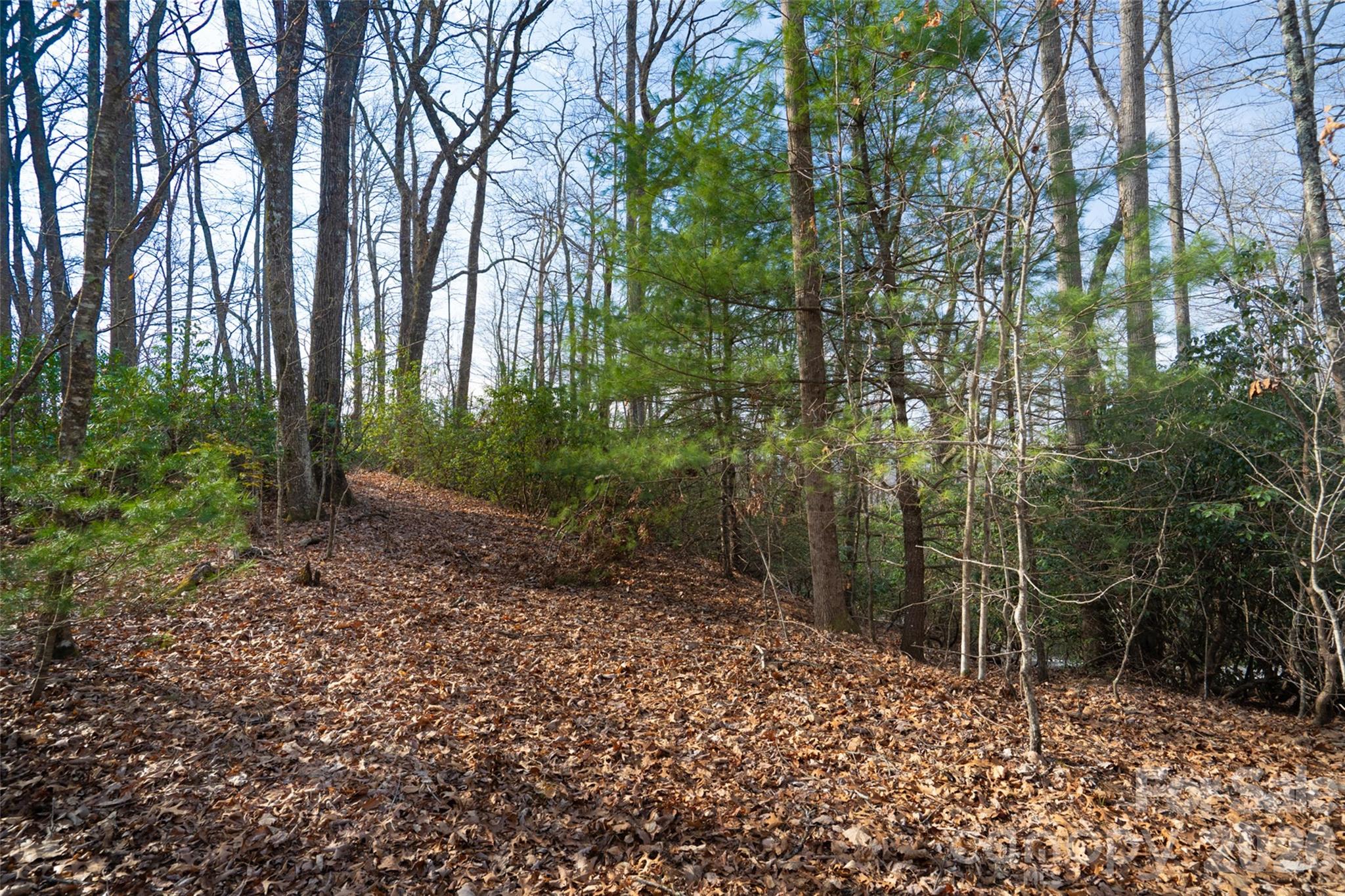 29 Open Ridge Trail Pisgah Forest NC 28768