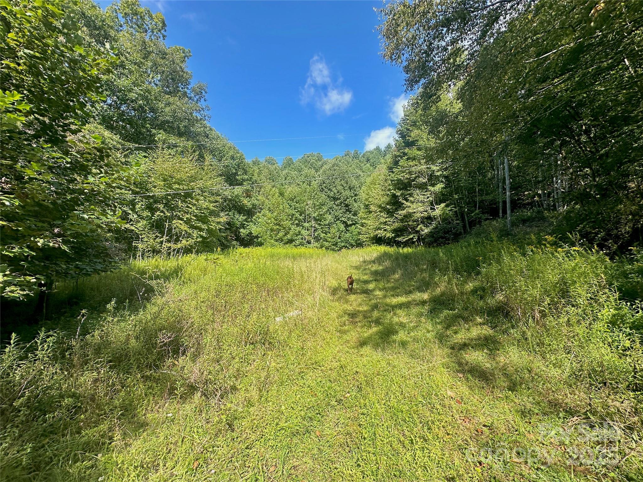 Tbd Old Anderson Quarry Road Vilas NC 28692