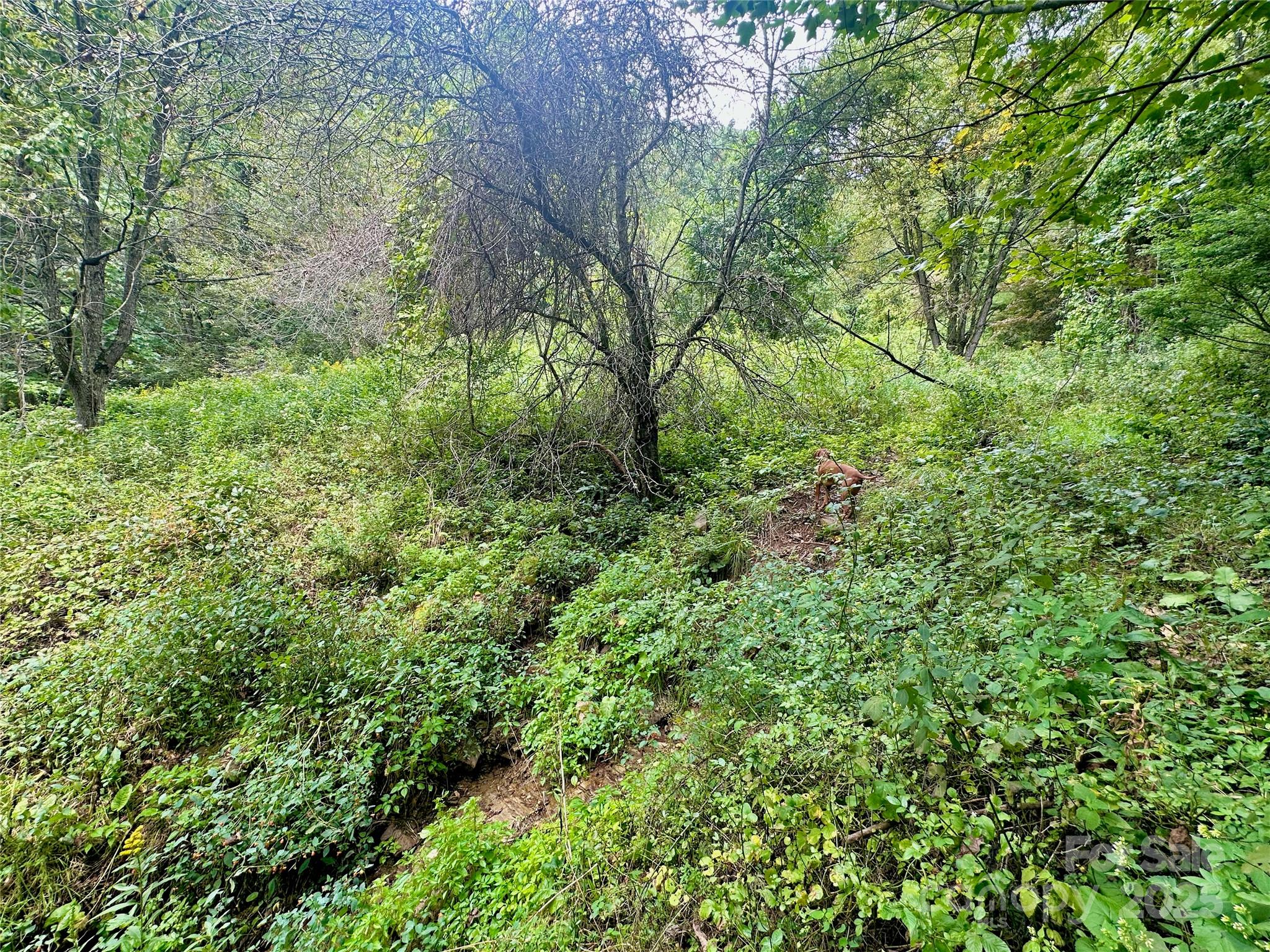 Tbd Old Anderson Quarry Road Vilas NC 28692