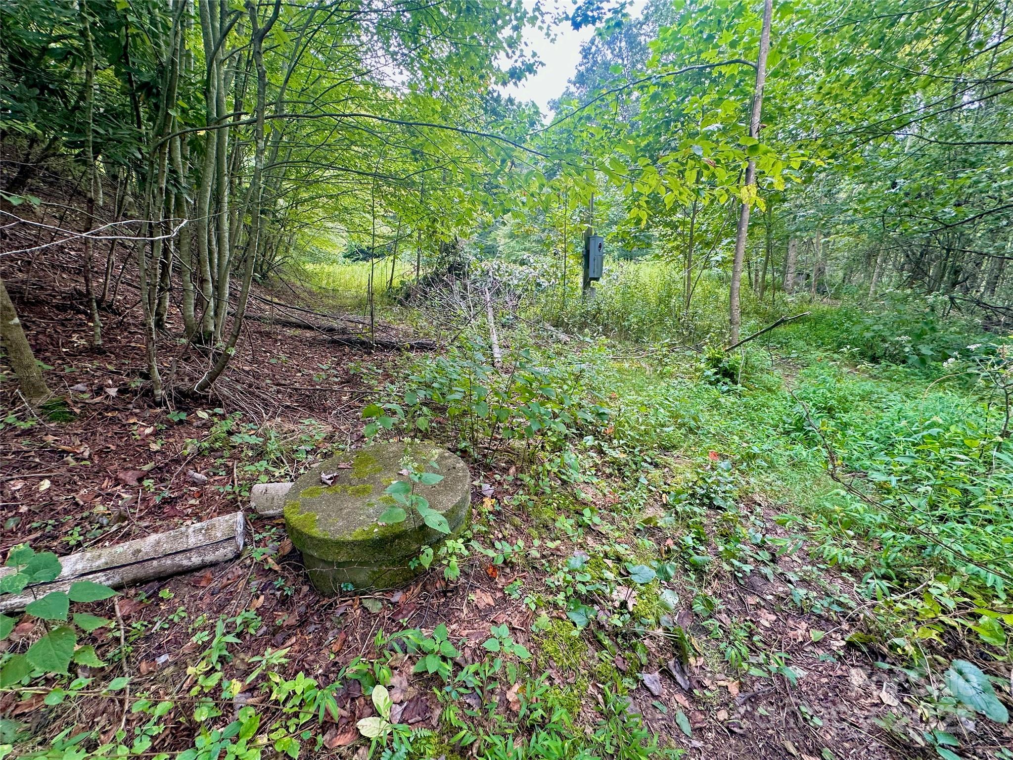Tbd Old Anderson Quarry Road Vilas NC 28692