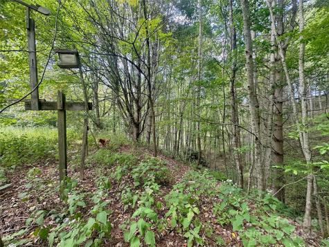 Tbd Old Anderson Quarry Road Vilas NC 28692