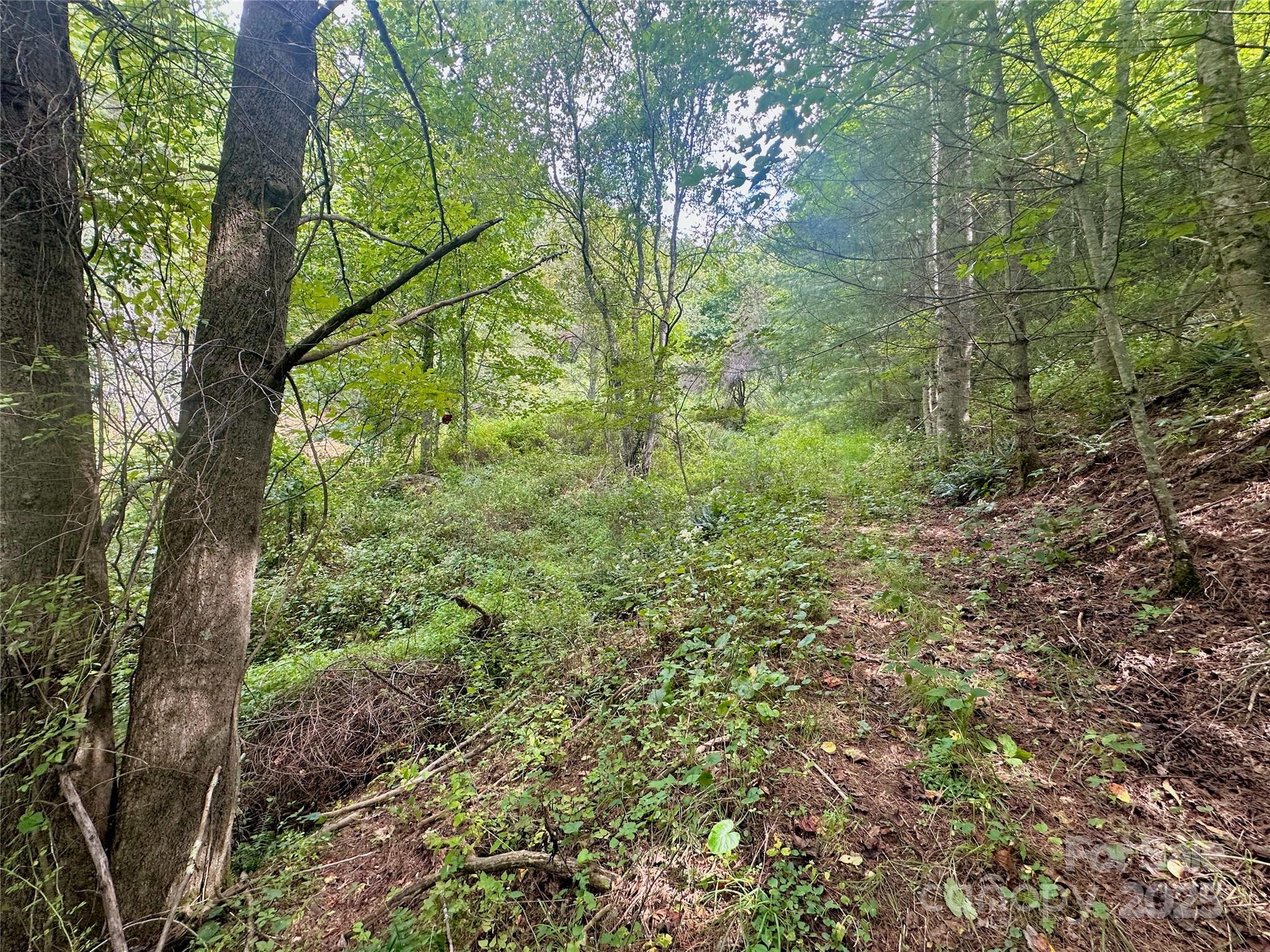 Tbd Old Anderson Quarry Road Vilas NC 28692