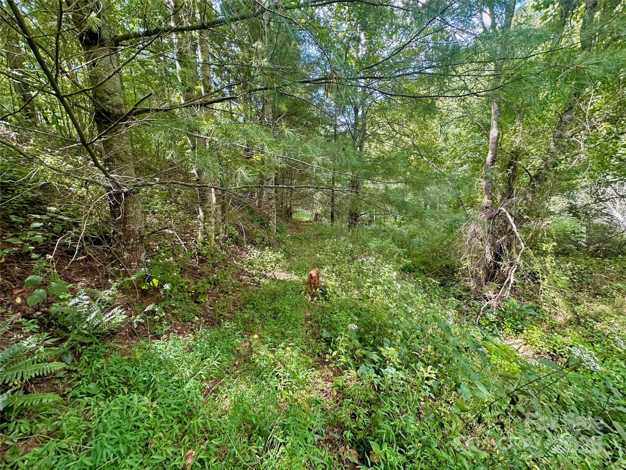 Tbd Old Anderson Quarry Road Vilas NC 28692