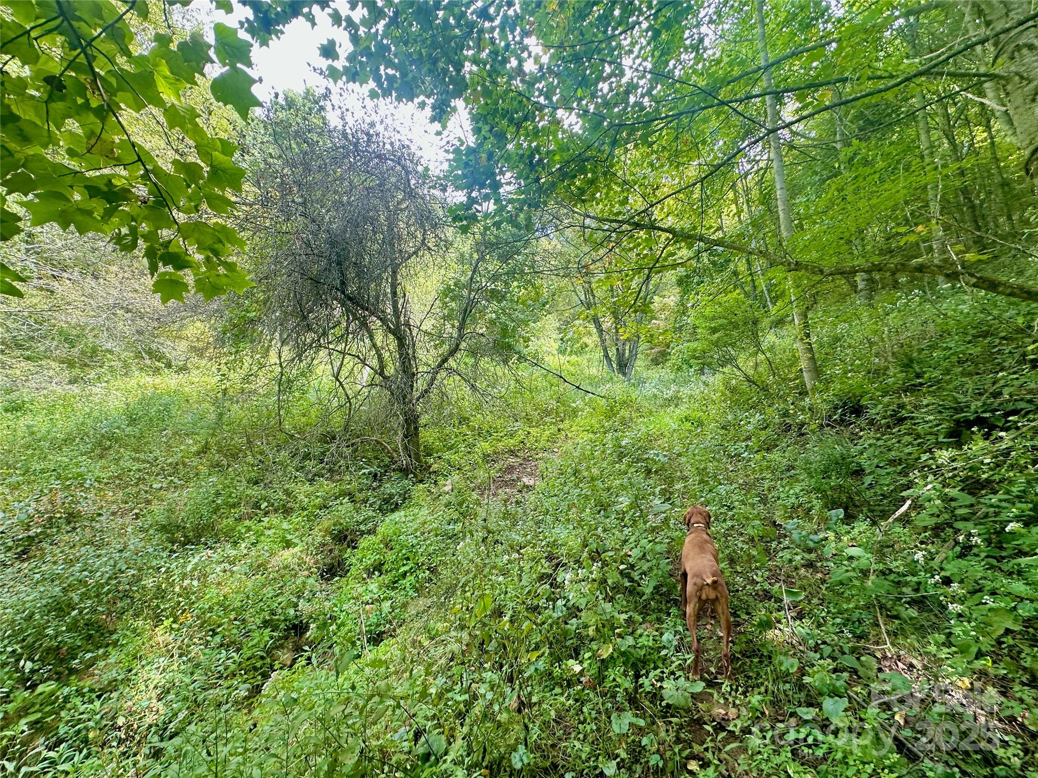 Tbd Old Anderson Quarry Road Vilas NC 28692